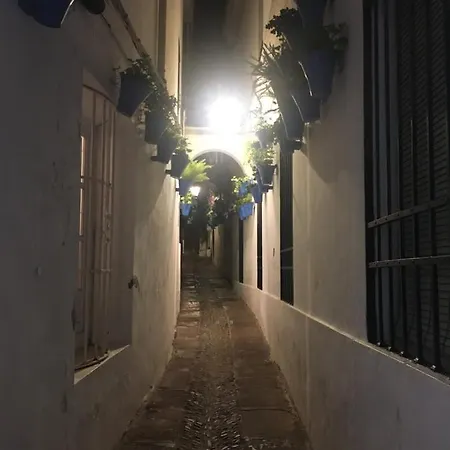 アパート Casa Terraza Juderia *