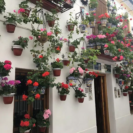 Casa Terraza Juderia アパート *