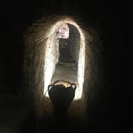 Casa Terraza Juderia 公寓 科爾多瓦