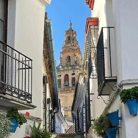 公寓 Casa Terraza Juderia