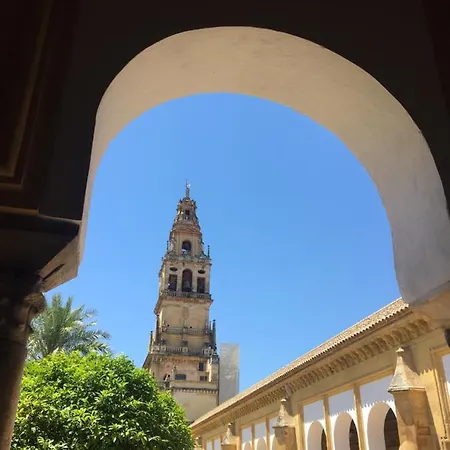 Casa Terraza Juderia 公寓